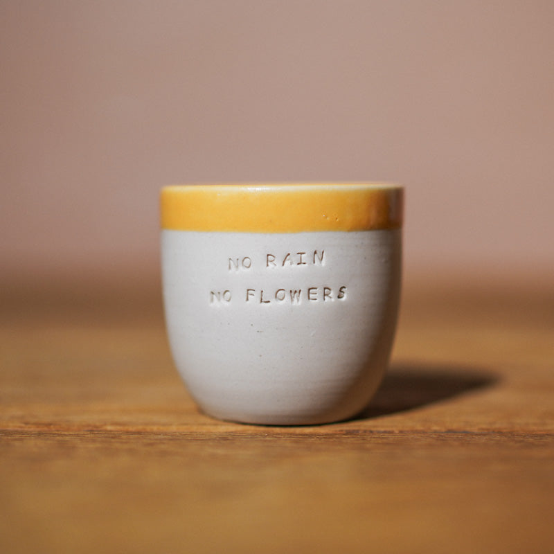 Mug No rain no flowers